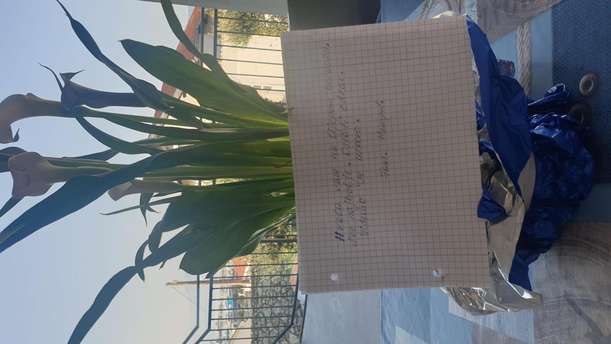 Apartment Goran Novi Vinodolski Kültér fotó